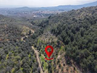 ▀mera Emlaktan Beyoba Köyü Müstakil Tapulu 6.650m2 Zeytinlik