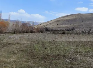 Karakoçan Bulgurcuk (yığ)köyünde Satılık Tarla
