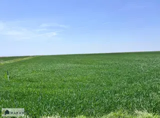 Karatay Zivecik'te 114.750m2 Müstakil Tapulu Satılık Tarla