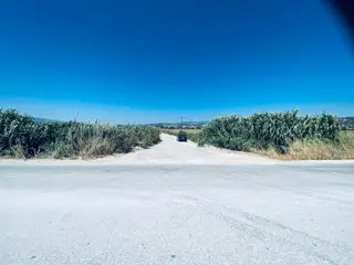 Uzun Emlak'tan Muradiye Bağyolu Arası Cadde Üzeri 5 Dönüm Tarla