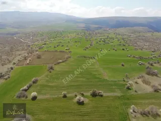 Ayaşta Tek Tapu 3.325 M2 Çok Uygun Fiyata Tarla