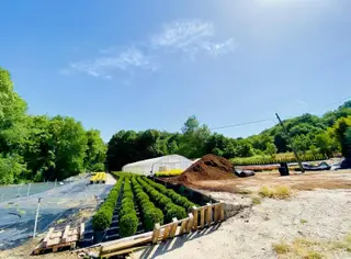 Yalova Kirazlıda İmarın Dibinde 7300 M2 Satılık Tarla
