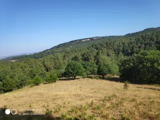 Balıkesir Havran Küçükşapçıda Kelepir 18.603m2 Müstakil Arazi