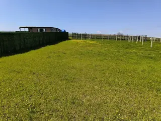 Çatalca Çakıl'da Gelecek Vaat Eden 503 M² Hisseli Arsa