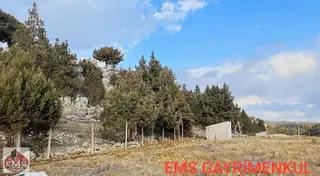 --- Erdemli Güneyli Mahallesi'nde Satılık 7.726 M² Tarla