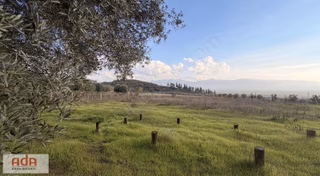 Ada Gayrimenkul Pamukova Pınarlıda 1.782 M² Manzaralı Arazi