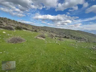 Menemen Görece Köyünde Tek Tapu 9100 M² Satılık Tarla