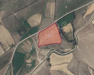Sahibinden Bayburt Merkez Satılık Yola 155 Mt Cepheli 24.508 Mt Tarla