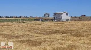Ne Altın Ne Döviz Ne Borsa Eninde Sonunda En Sağlıklı Arsaa