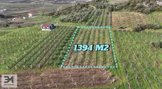 Sakarya Geyve Umurbey 1394m2 Elektrik Su Resmi Yol Fırsat Arsa