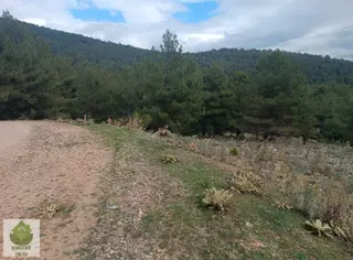 Muğla Menteşe Dağdibi Mahallesinde 6783 M² Tarla...