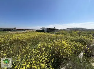 Pasifikten Menderes Kısıkta Eletrik & Suyu Olan 275 M² Bahçe