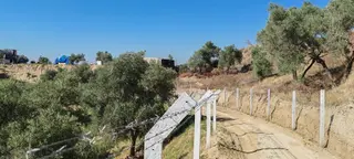 Aydın Merkez Efeler Danışment Mah Satılık 40 Bin M2 Zeytinlik