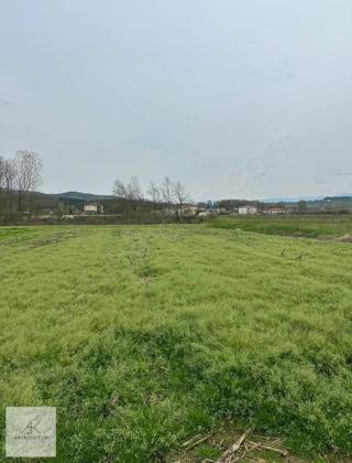 Köy Merkezine 600 Metre Yola Cepheli 1248 M² Tarla