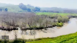 Balcıoğlundan Melen Neh.cephe 2860 M2 Resmi Yollu Kavaklık Arsa