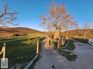 Mahalle Dibinde,piknik Alanı,çeşme Dibinde Üzüm Bağı Çal Ortaköy Mahalle Dibinde,piknik Alanı,çeşme Dibinde Üzüm Bağı Çal Ortaköy