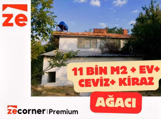 Fırsat Plan Savaştepede 11.317 M2 Meyve Bahçesi