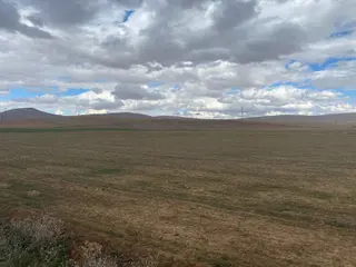 Çaltı'da 15.000 M2 Satılık Tarla Çaltı'da 15.000 M2 Satılık Tarla