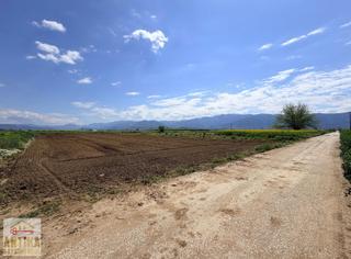 Antika Gayrimenkulden Asfalta Cepheli 2.500 M² Satılık Tarla Antika Gayrimenkulden Asfalta Cepheli 2.500 M² Satılık Tarla