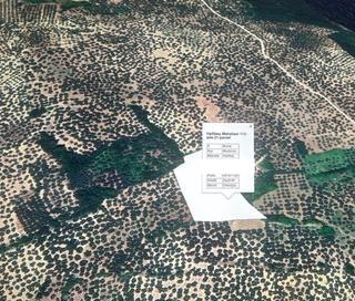 Mudanya Halil Bey Dikboğaz Mevkii 6.900m2 Yatırım İçin Zeytinlik