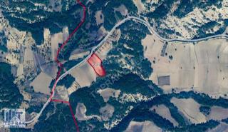 Toprak Emlak'tan Yumaklı Köyü /4354 M2 / Yolu Açık Satılık Tarla