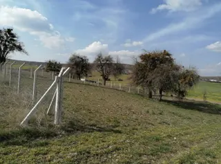 Murat Türkmen'den Acil_satılık Ayaş_ortabereket'te 1000-m2_tapulu_bahçe Fiyatı_düştü