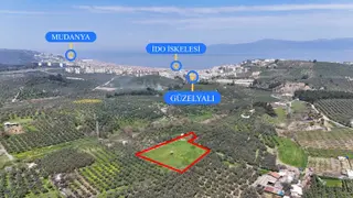 Bursa Mudanya Güzelyalı Eğitim Mahallesinde Satılık Tarla Bursa Mudanya Güzelyalı Eğitim Mahallesinde Satılık Tarla