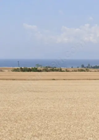 Tekirdağ Karaevli Denize Yürüme Mesafesinde Net 185m2 Arsa Tekirdağ Karaevli Denize Yürüme Mesafesinde Net 185m2 Arsa