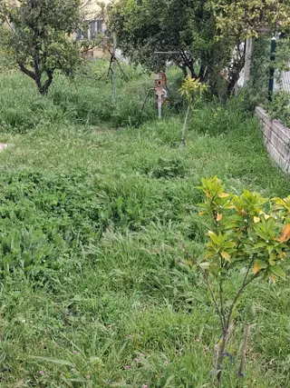 Dalaman 2019 Yapım Geniş Ebeveyn Banyolu 2+1 Güney Cephe Dalaman 2019 Yapım Geniş Ebeveyn Banyolu 2+1 Güney Cephe