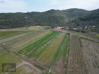 Güzelyurt Akdoğanda Yola Cepheli Tek Tapu Tarla