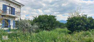 Okkalı Emlak Tan Menemen Yayla Mah.de Satılık Arsa