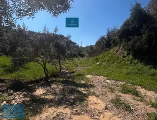 Seta Gayrimenkul |musluca'da Satılık 7266m² Tarla