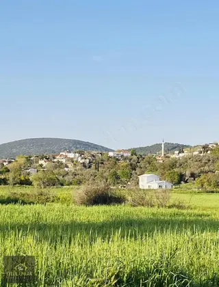 Milas Kuzyakada Satılık Tarla Milas Kuzyakada Satılık Tarla