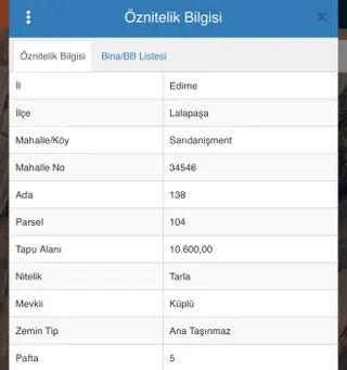 Edirne Lalapaşa Sarıdanişment Köyü Satılık Ana Yola Yakın Arazi