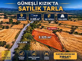 Satılık Güneşli Yol Üzerinde Tarla Tek Tapu