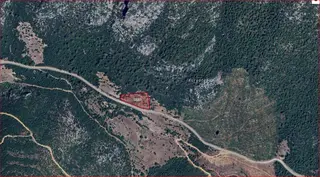 Bucak Taşyayla Köyünde Satılık Fırsat Tarla