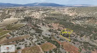 Bozkır Hamzalar Mahallesinde 699 M² Müstakil Tapulu Bağ