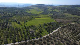 Samurluda 10500m2 Satılık Yolu Olan Tarla Samurluda 10500m2 Satılık Yolu Olan Tarla