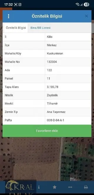 Kilis Merkez Kuskunkıranda Satılık Zeytin