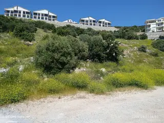 Aydın Didim Akbükful Deniz Manzaralı Arsalar Satıyoruz Aydın Didim Akbükful Deniz Manzaralı Arsalar Satıyoruz