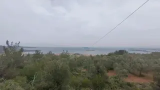 Cunda Adasında Satılık 12 Dönüm Deniz Manzaralı Zeytinlik