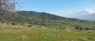 Sahibinden 1411 M2 Tapulu Hisseli Tarla