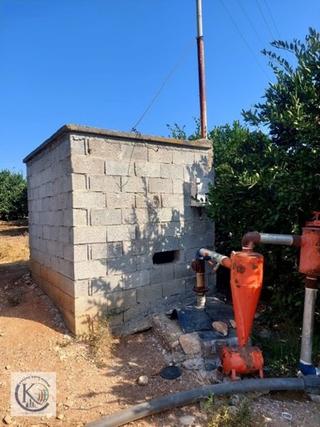 Akdam Köyü'nde Satılık 4.833 M Bakımlı Bahçe