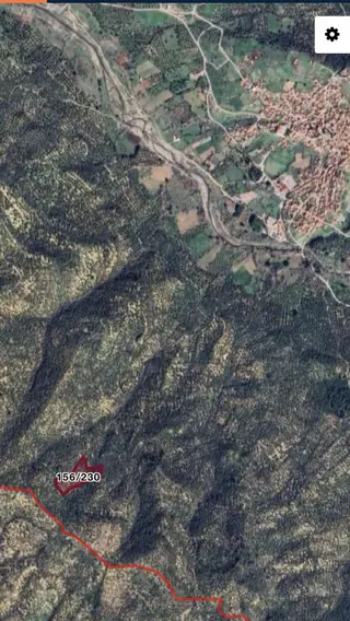 Bahadınlı Adatepede Yatırımlık 9.8 Dönüm Verimli Zeytinlik!