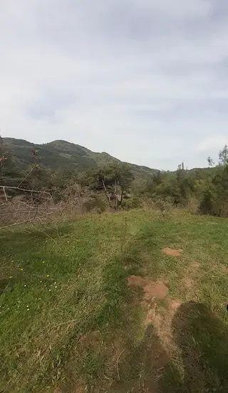 Soma Pirahmet Köyü'nde 2.576 M²