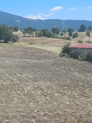 Balıkesir Dursunbey Hamzacık 4448m2 Satılık Tarla