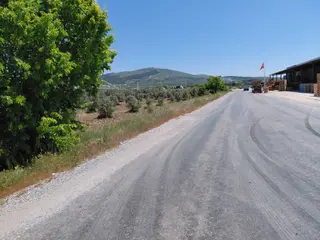 Kayalıoğlu Sanayiye Yakın 4.900 M2 Yola Cepheli Zeytinlik 8.000.000 Tl