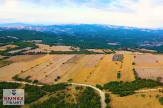 Lüleburgaz-çiftlikköy'de 12.350 M² Yatırım Fırsatı...