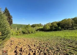 Kardeşten Karaahmetli Mahallesi 7942,64m² Satılık Tarım Arazisi