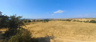 Uşak-kütahya Karayoluna 2 Km.7897m2 Müstakil Parsel Satılık Arsa